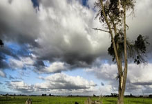 雷火电竞在线-拜仁封神夜！数据铁幕锁死姆巴佩，欧冠登顶的终极密码