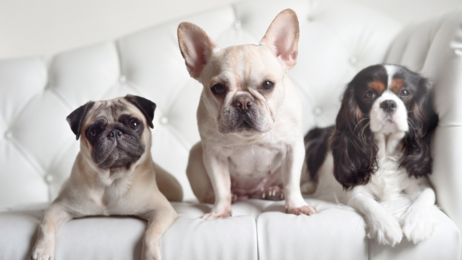 奥运周期焦点战，巴黎强势击溃塞维利亚，关键胜利铺路2024