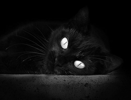 政治球场与绿茵战场，德国终结玻利维亚之局，莫德里奇抢七接管时代