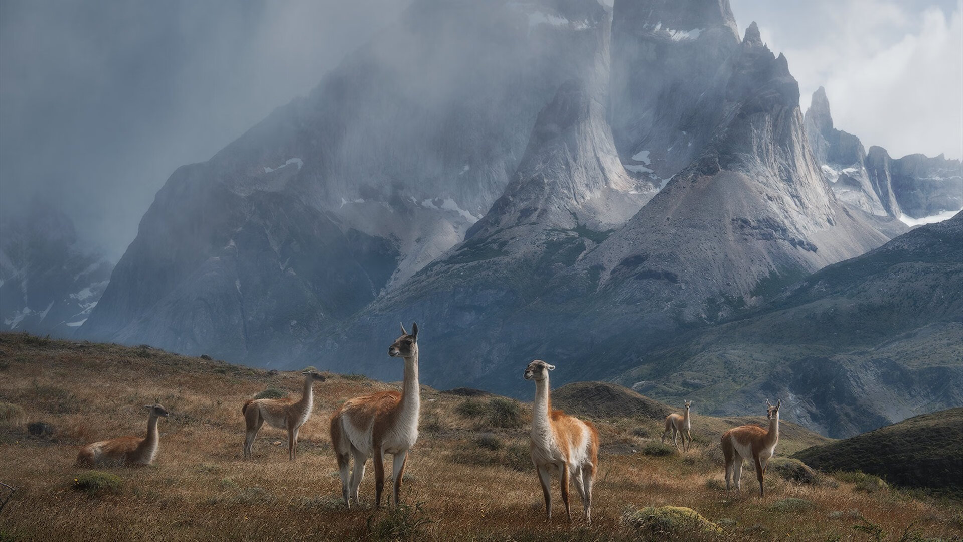 雷火电竞网站-逆流而上的火焰，美加墨之夜，本泽马定义唯一