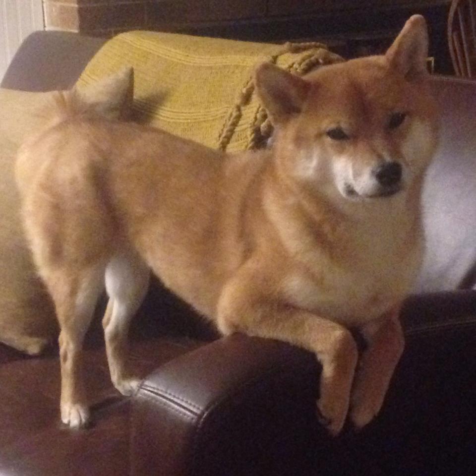 萨内里程碑之夜,葡萄牙明星队力克塞维利亚,致敬传奇