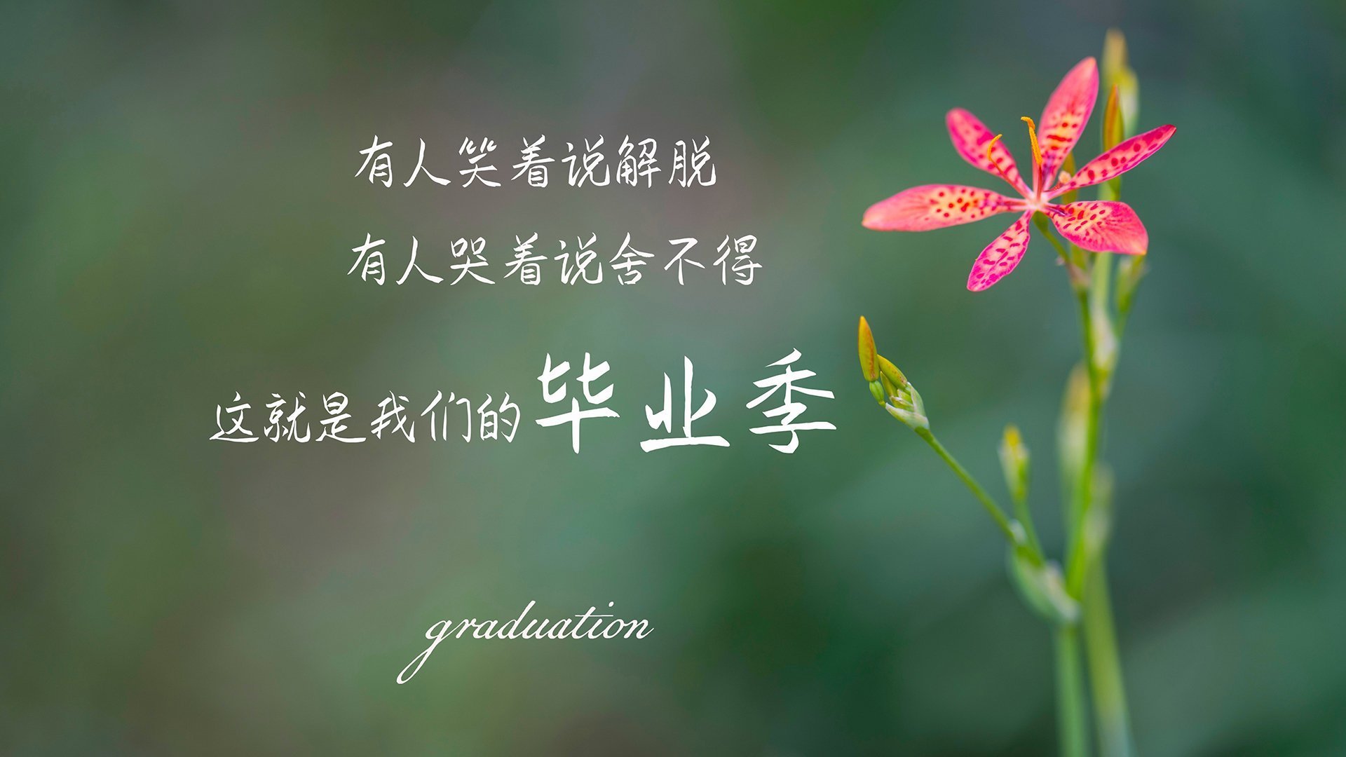 黑白雷霆间的唯一变数，马克西如何用沉默的哨声成为胜负手