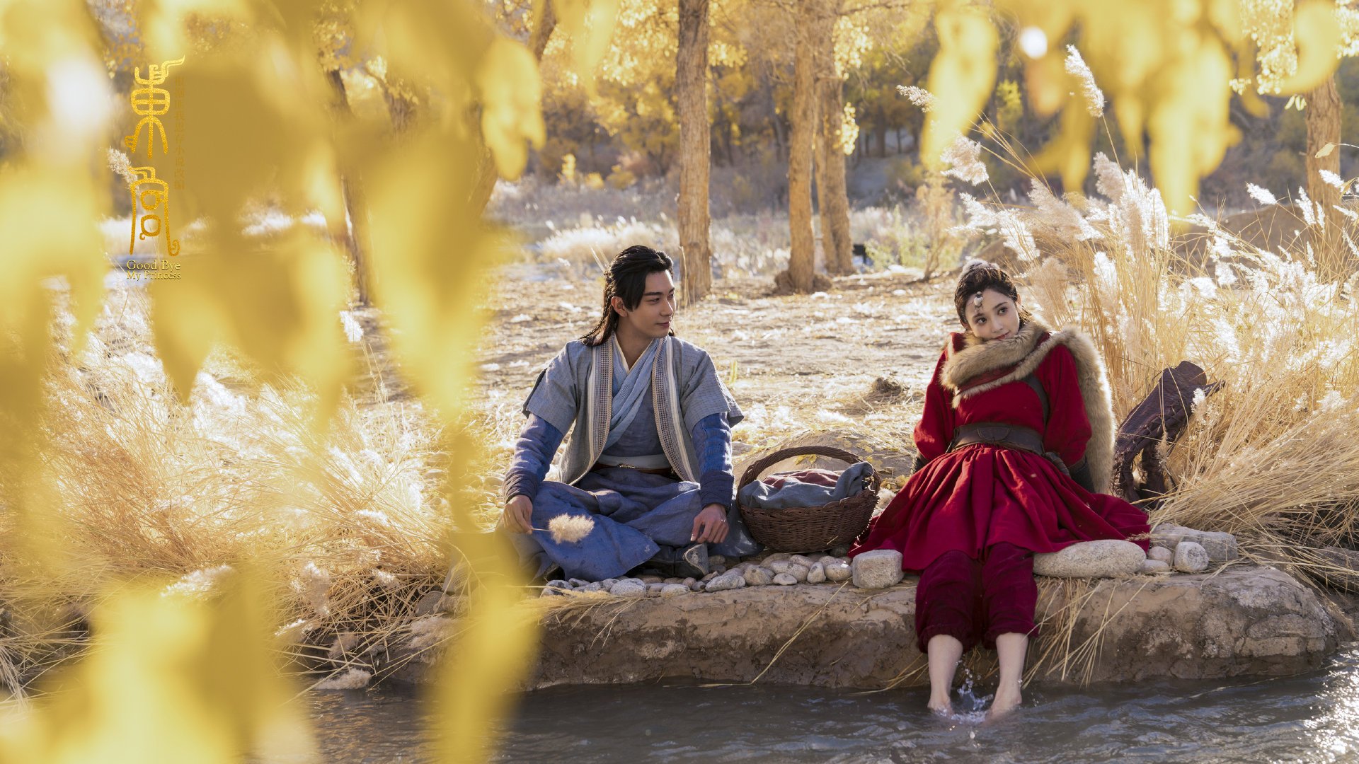 兹拉坦降临，德甲争冠夜，伊布铸就传奇生涯之战