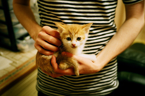 德国战术催眠伦敦,若日尼奥如何让阿森纳陷入自设的迷宫