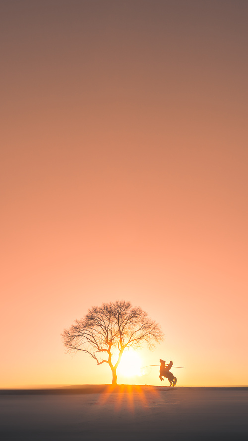 篮框下的平行宇宙,当公牛踏碎深圳,欧文在另一半世界完成镜像