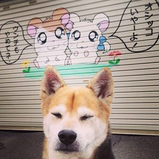 辽宁斩魔术的最后一剑，布克的沉默与冠军球队的暗流