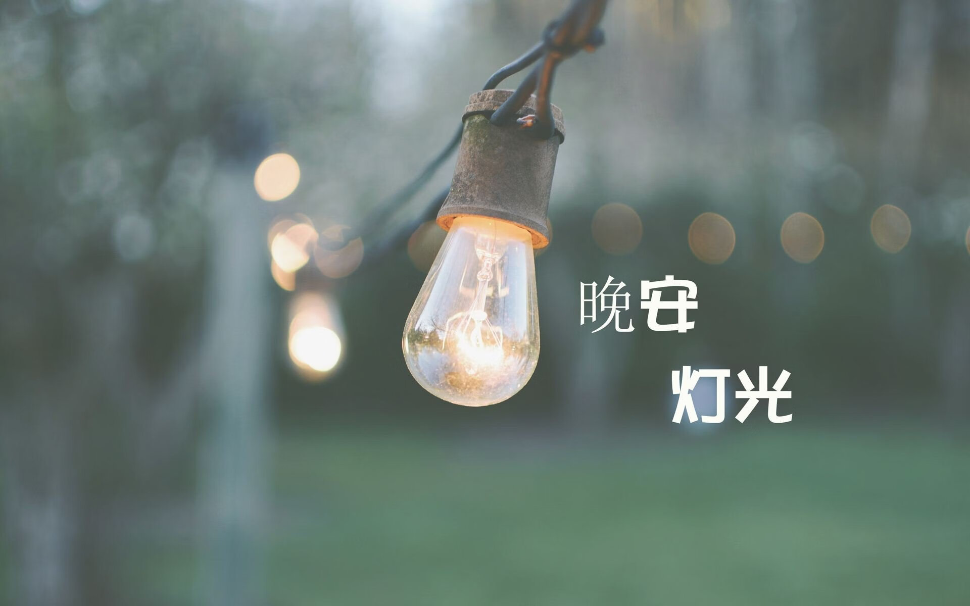 橙衣风暴,2026半决赛荷兰碾压瑞士,奥斯梅恩成唯一逆风亮点