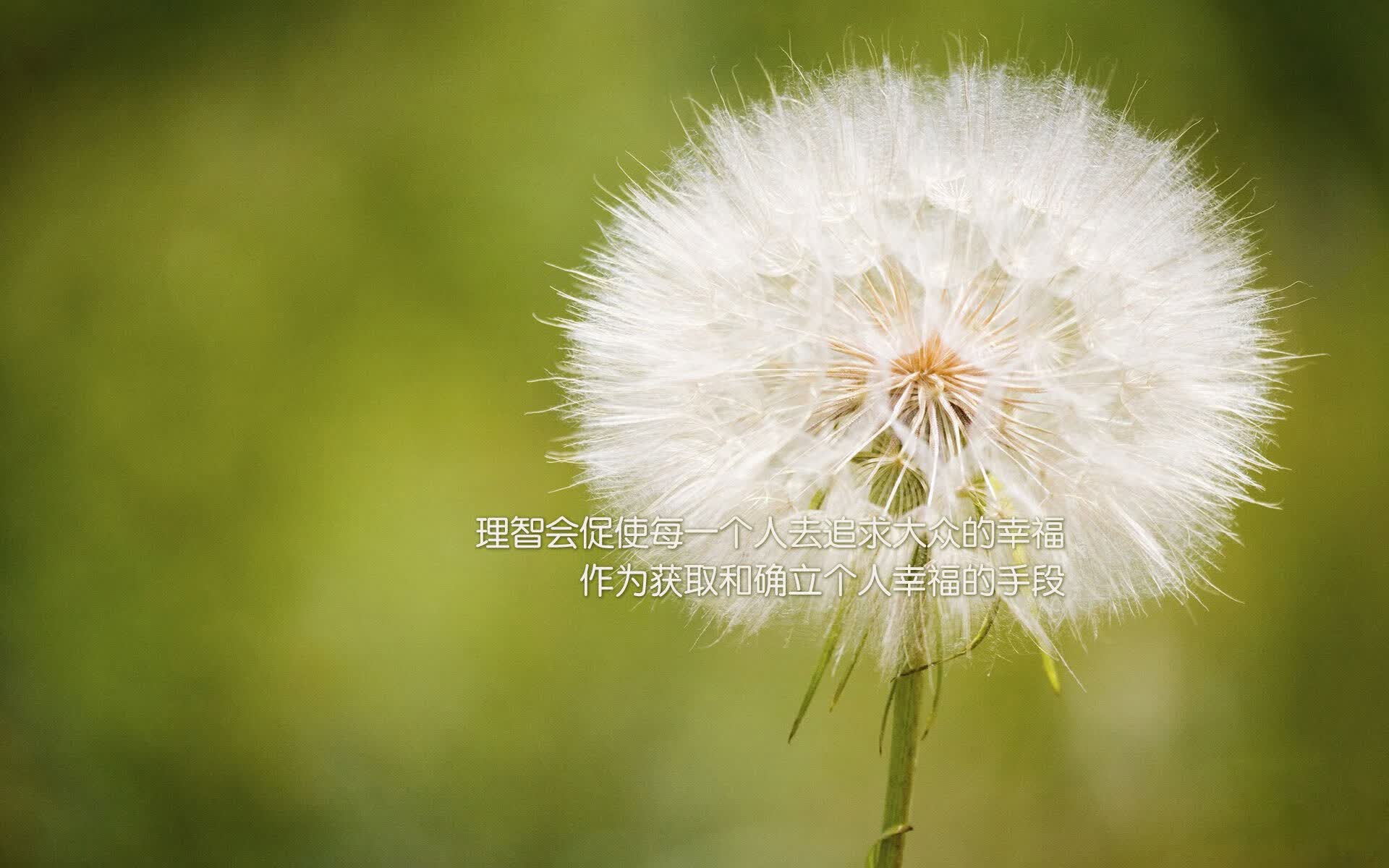 沙漠之狐折戟南美铁骑,萨卡领衔智利破局,替补奇兵一箭封喉定乾坤